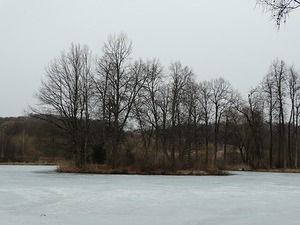 238.jpg
