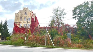 169.jpg