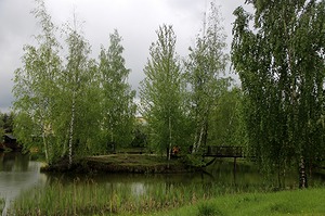 263.jpg