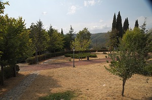 050.jpg