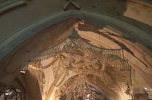146.jpg