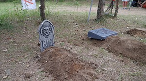 111.jpg