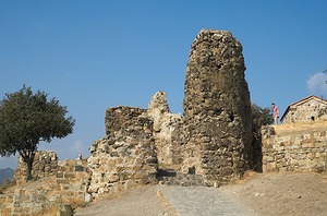 164.jpg