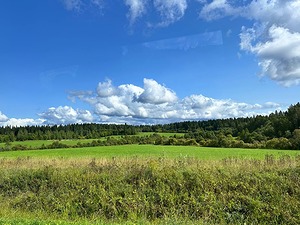 287.jpg