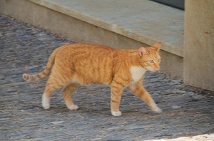 177.jpg