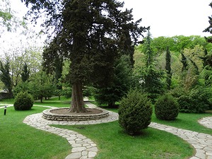 130.jpg