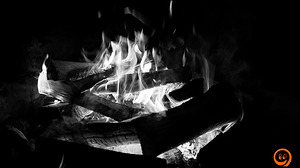 DSC02465.jpg