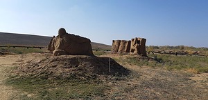 127.jpg