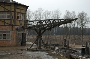 119.jpg