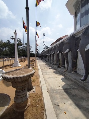 137.jpg