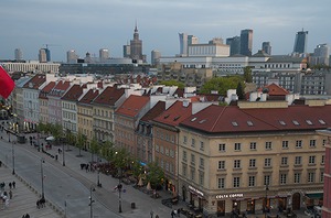 100.jpg