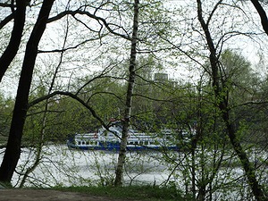 102.jpg