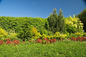 04.jpg