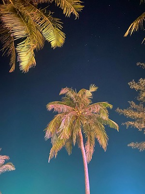 IMAGE 2026-02-20 123034.jpg