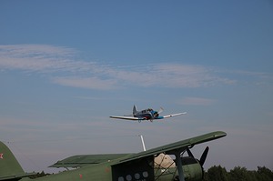 161.jpg
