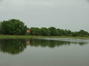 123.jpg