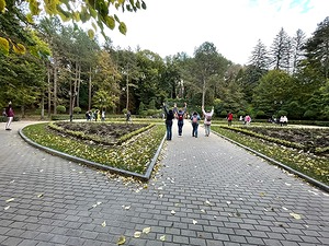 115.jpg