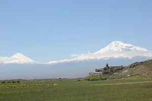 184.jpg