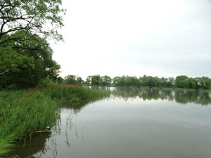 121.jpg