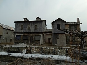 260.jpg