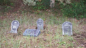 119.jpg