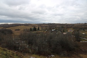 147.jpg