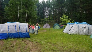010.jpg