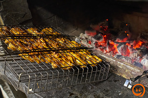 DSC03127.JPG