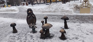 IMAGE 2026-02-19 121132.jpg