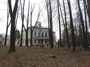 231.jpg