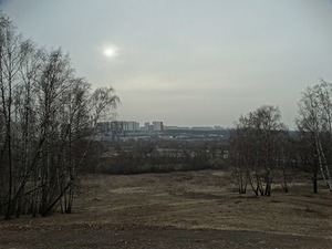 289.jpg