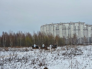 02.jpg