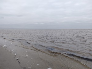 145.jpg