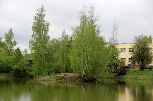 260.jpg