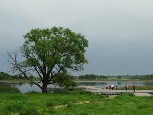 126.jpg