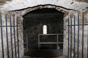 142.jpg