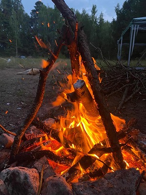 156.jpg