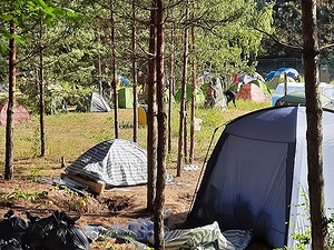 111.jpg