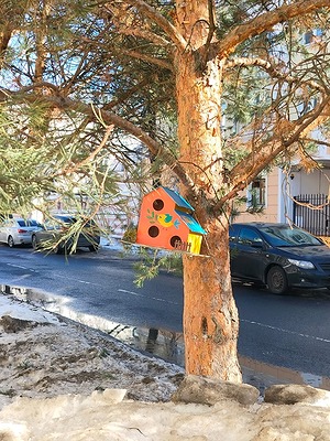 133.jpg