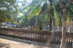 154.jpg