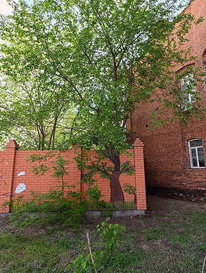 105.jpg