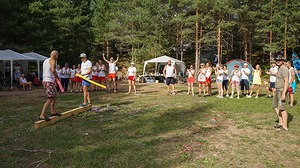 229.jpg